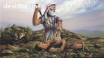 Ранний период